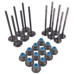 Клапан 16 шт. ДВС c сальниками Ford 2.0 ECOBLUE ( 25.5X5.5X99.9 )